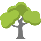 Broken Arrow Tree Removal